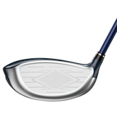 Alternate View 2 of Twelve Driver